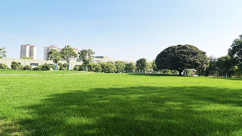 �����������޹�˾������